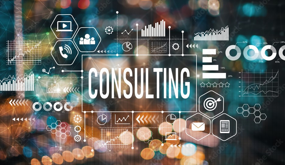 Servicios de Consultor�a Profesional